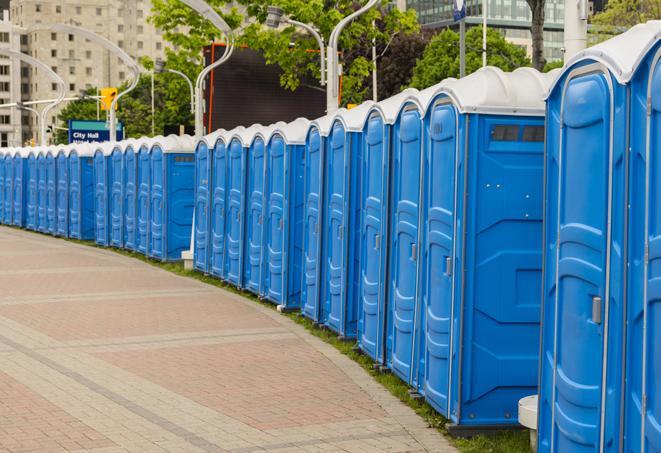 hygienic portable restrooms lined up at a music festival, providing comfort and convenience for attendees in Issaquah